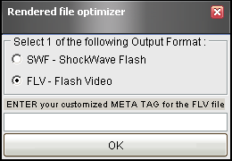SWF versus FLV